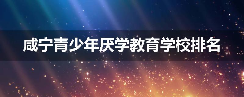 咸宁青少年厌学教育学校排名