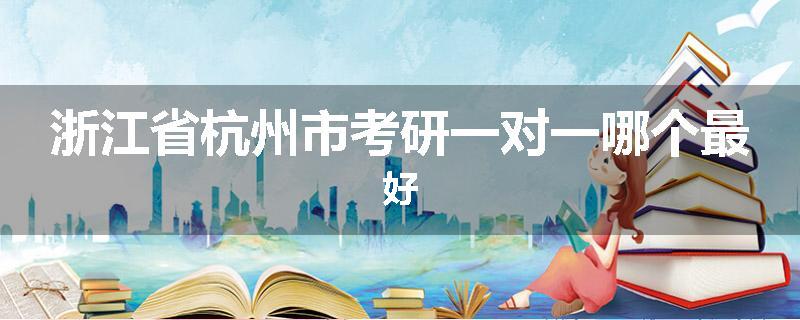 浙江省杭州市考研一对一哪个最好