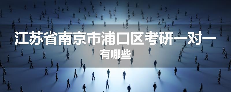 江苏省南京市浦口区考研一对一有哪些