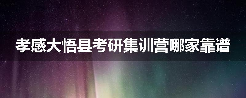 孝感大悟县考研集训营哪家靠谱