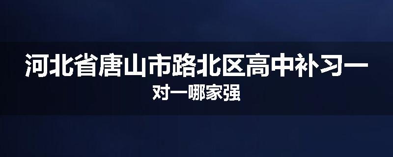 河北省唐山市路北区高中补习一对一哪家强