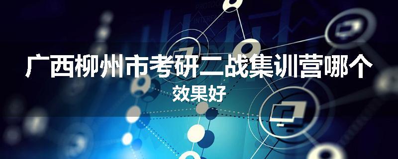 广西柳州市考研二战集训营哪个效果好