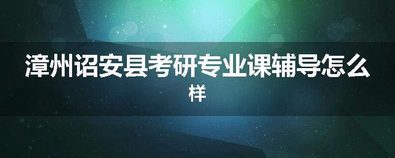漳州诏安县考研专业课辅导怎么样