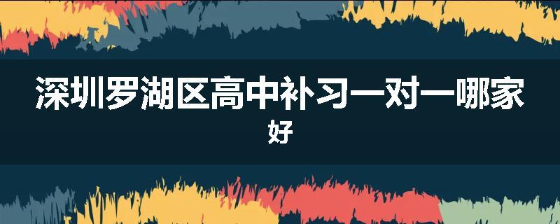 深圳罗湖区高中补习一对一哪家好