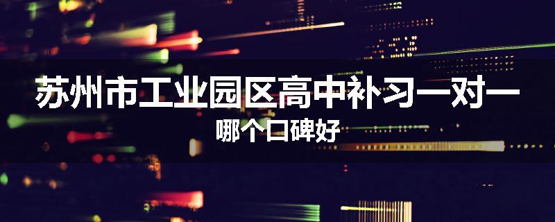 苏州市工业园区高中补习一对一哪个口碑好