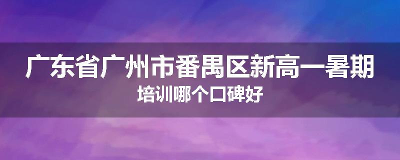 广东省广州市番禺区新高一暑期培训哪个口碑好