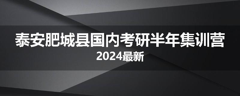 泰安肥城县国内考研半年集训营2024最新