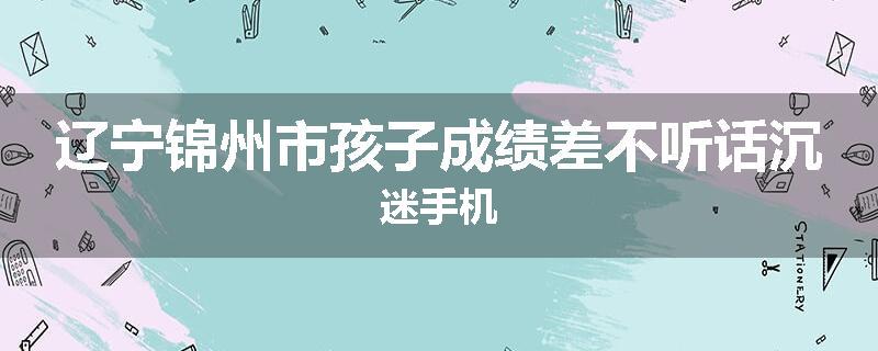 辽宁锦州市孩子成绩差不听话沉迷手机