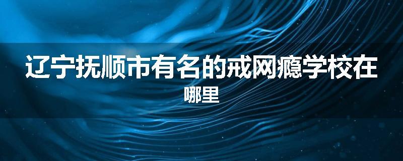 辽宁抚顺市有名的戒网瘾学校在哪里