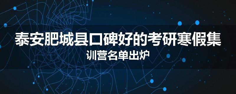 泰安肥城县口碑好的考研寒假集训营名单出炉