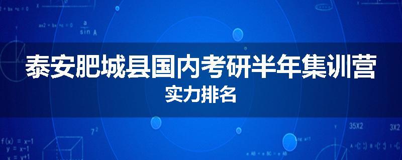 泰安肥城县国内考研半年集训营实力排名