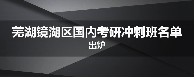 芜湖镜湖区国内考研冲刺班名单出炉