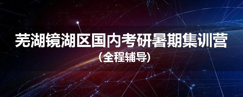 芜湖镜湖区国内考研暑期集训营（全程辅导)