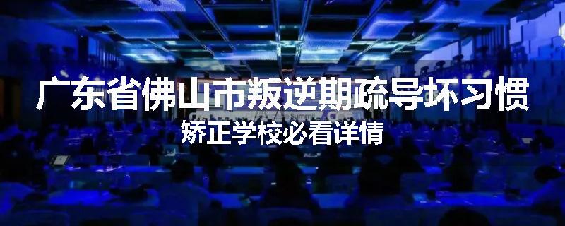 广东省佛山市叛逆期疏导坏习惯矫正学校必看详情