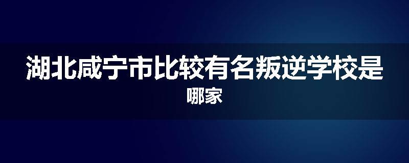 湖北咸宁市比较有名叛逆学校是哪家