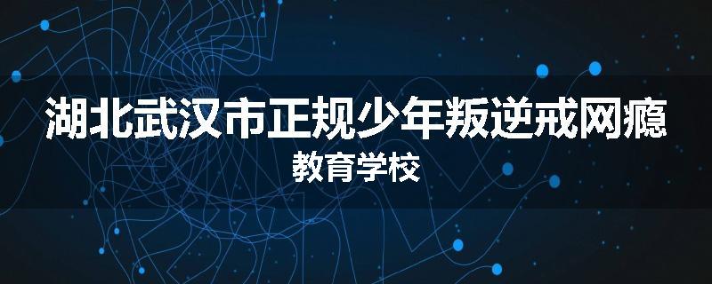 湖北武汉市正规少年叛逆戒网瘾教育学校