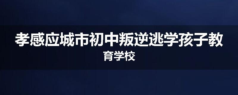 孝感应城市初中叛逆逃学孩子教育学校