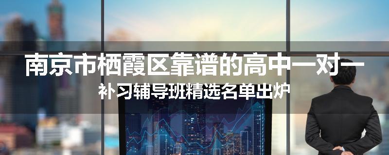 南京市栖霞区靠谱的高中一对一补习辅导班精选名单出炉