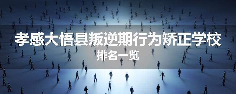 孝感大悟县叛逆期行为矫正学校排名一览