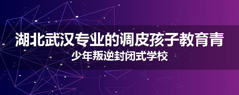 湖北武汉专业的调皮孩子教育青少年叛逆封闭式学校