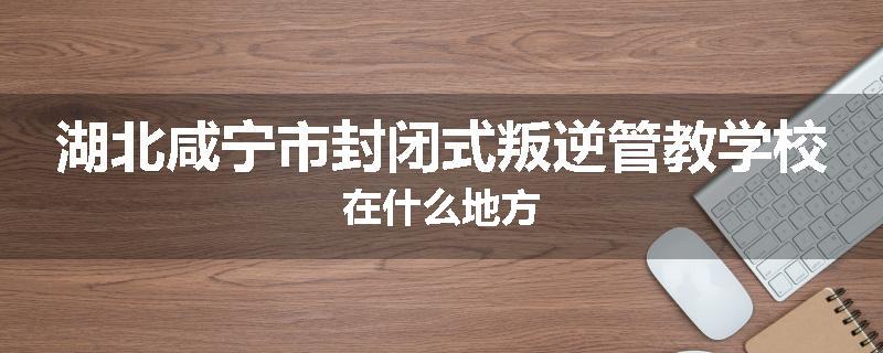 湖北咸宁市封闭式叛逆管教学校在什么地方