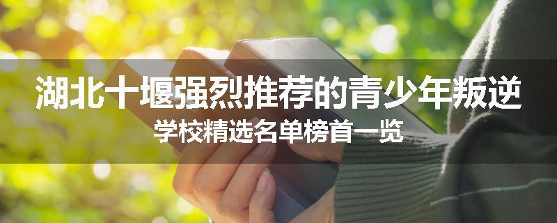 湖北十堰强烈推荐的青少年叛逆学校精选名单榜首一览