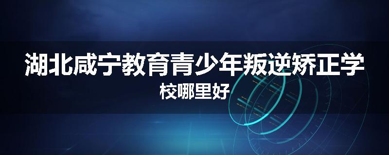 湖北咸宁教育青少年叛逆矫正学校哪里好