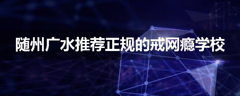 随州广水推荐正规的戒网瘾学校