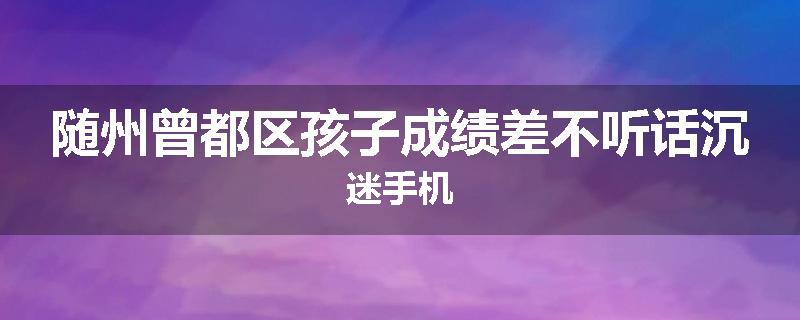 随州曾都区孩子成绩差不听话沉迷手机