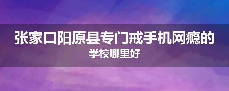 张家口阳原县专门戒手机网瘾的学校哪里好