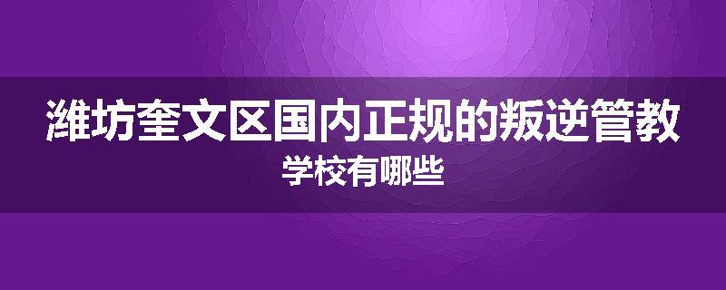 潍坊奎文区国内正规的叛逆管教学校有哪些