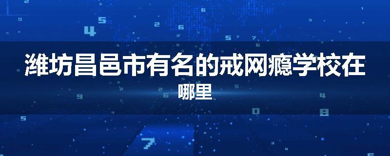 潍坊昌邑市有名的戒网瘾学校在哪里