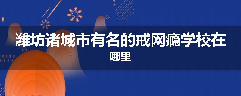 潍坊诸城市有名的戒网瘾学校在哪里