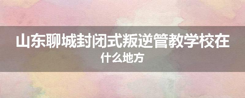 山东聊城封闭式叛逆管教学校在什么地方