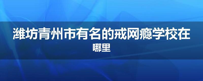 潍坊青州市有名的戒网瘾学校在哪里