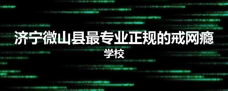 济宁微山县最专业正规的戒网瘾学校