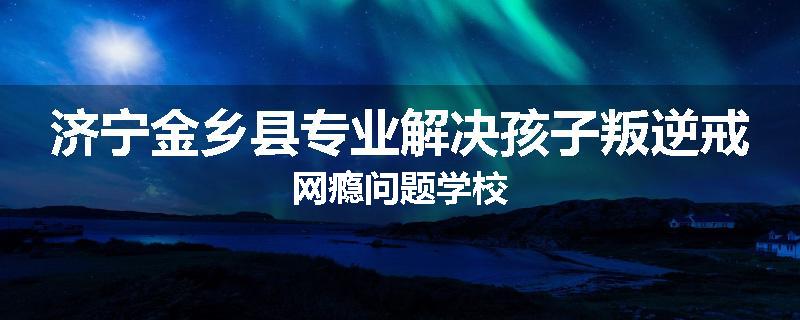 济宁金乡县专业解决孩子叛逆戒网瘾问题学校