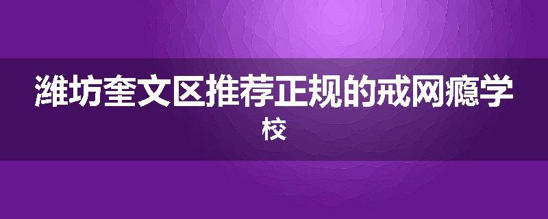 潍坊奎文区推荐正规的戒网瘾学校