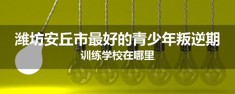 潍坊安丘市最好的青少年叛逆期训练学校在哪里