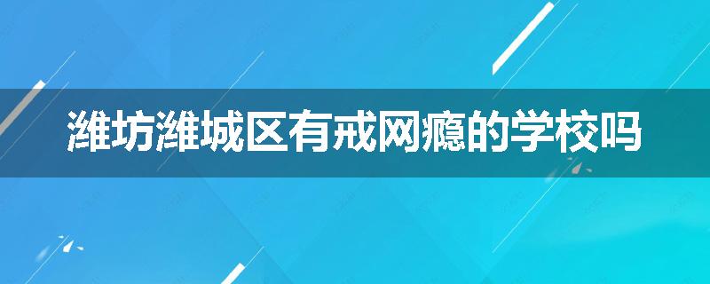 潍坊潍城区有戒网瘾的学校吗
