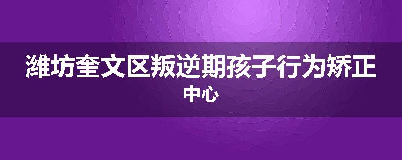 潍坊奎文区叛逆期孩子行为矫正中心