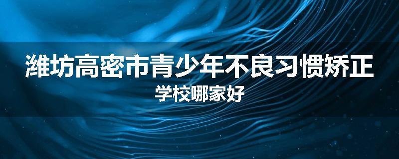 潍坊高密市青少年不良习惯矫正学校哪家好