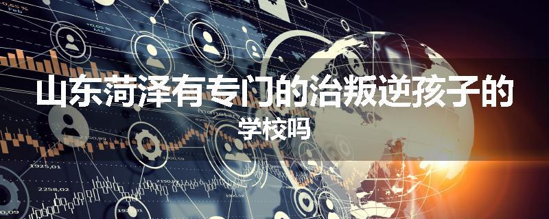山东菏泽有专门的治叛逆孩子的学校吗