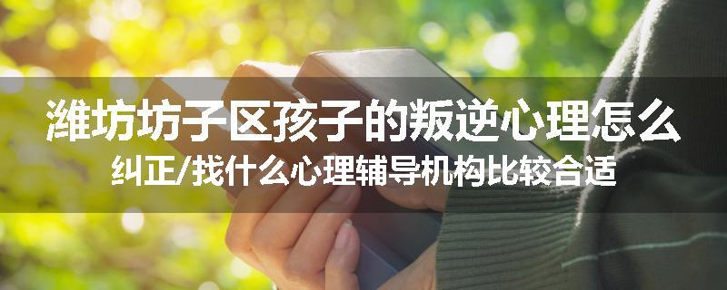 潍坊坊子区孩子的叛逆心理怎么纠正/找什么心理辅导机构比较合适