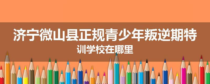 济宁微山县正规青少年叛逆期特训学校在哪里