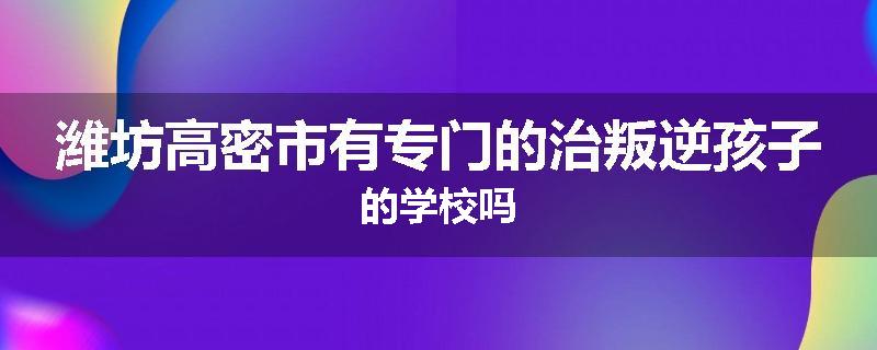 潍坊高密市有专门的治叛逆孩子的学校吗