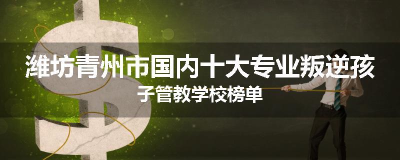 潍坊青州市国内十大专业叛逆孩子管教学校榜单
