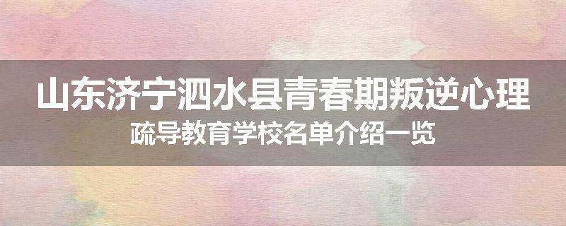 山东济宁泗水县青春期叛逆心理疏导教育学校名单介绍一览