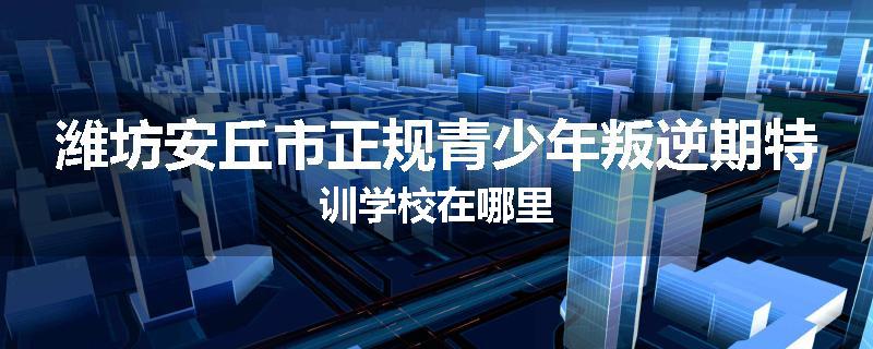 潍坊安丘市正规青少年叛逆期特训学校在哪里