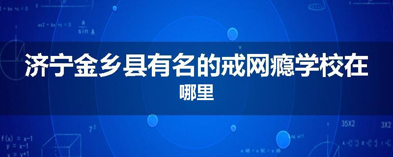 济宁金乡县有名的戒网瘾学校在哪里